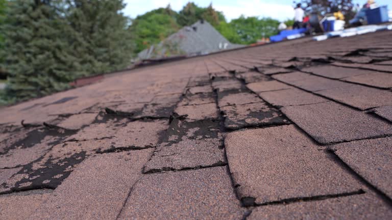 Fast & Reliable Emergency Roof Repairs in Clifton, TX